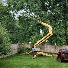 Best Leaf Removal  in West Fairview, PA