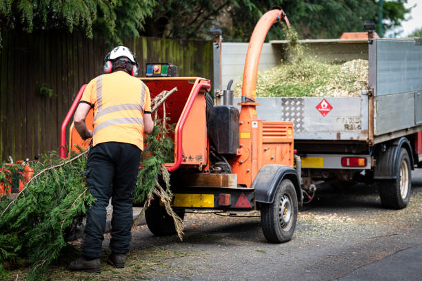 Mulching Services in West Fairview, PA